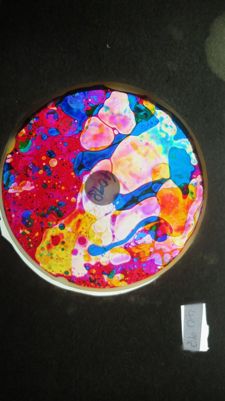 BV4098 bubble vision oil wheel